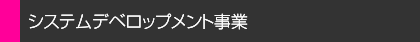 システムデベロップメント事業