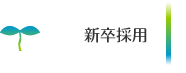 新卒採用