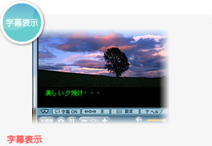 字幕表示